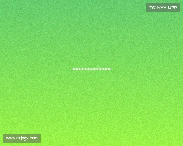 纽卡斯尔联队崛起之路：从英超新贵到欧洲竞争力强劲球队